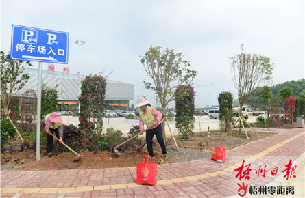 綠化美化機場環(huán)境 