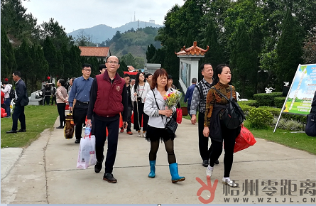 今日清明，市區(qū)公墓迎來(lái)祭掃高峰！