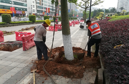 新興三路部分非機(jī)動(dòng)車道將拓寬