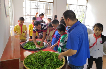 學習制茶傳承工藝