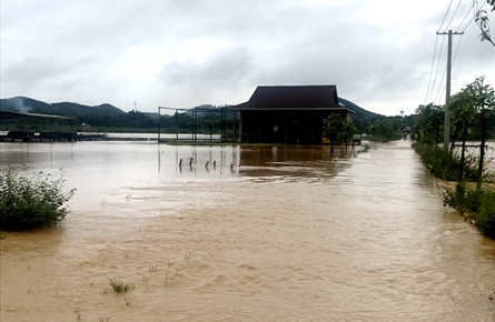 萬秀區(qū)夏郢鎮(zhèn)11個(gè)村水田受淹