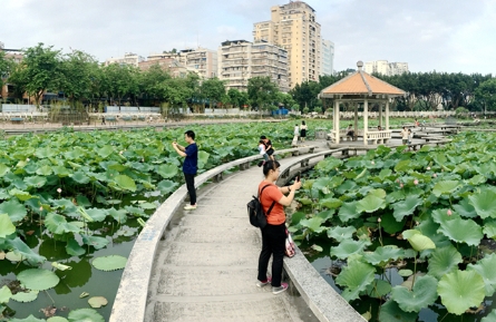 城市公園“變形記”