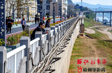 加固河東防洪堤