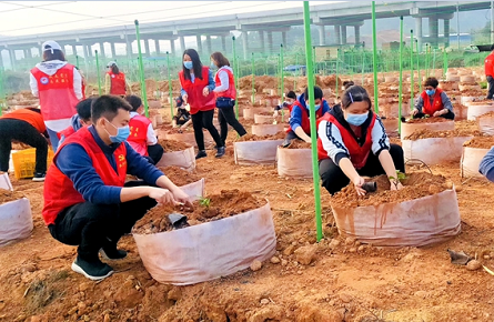 幫助村民種植百香果