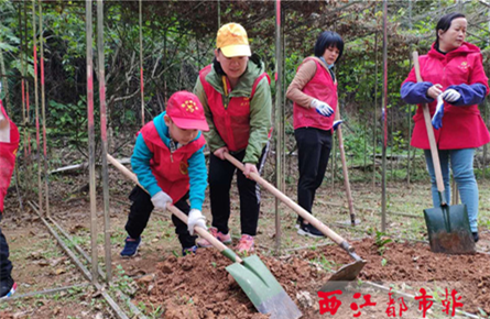 義務植樹添綠意