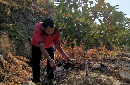 種植基地抗旱忙