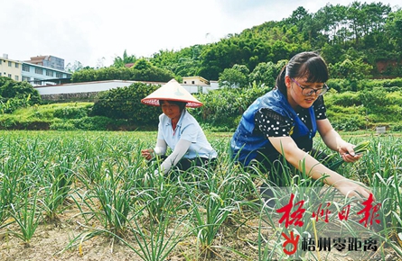 扎根基層 情傾農(nóng)家 | 梧州市駐村第一書(shū)記掠影