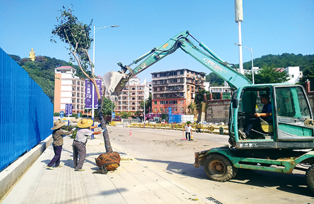 植樹種花綠化道路