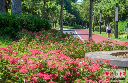 玫瑰湖公園鮮花簇擁