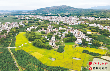 鄉(xiāng)村風景美如畫