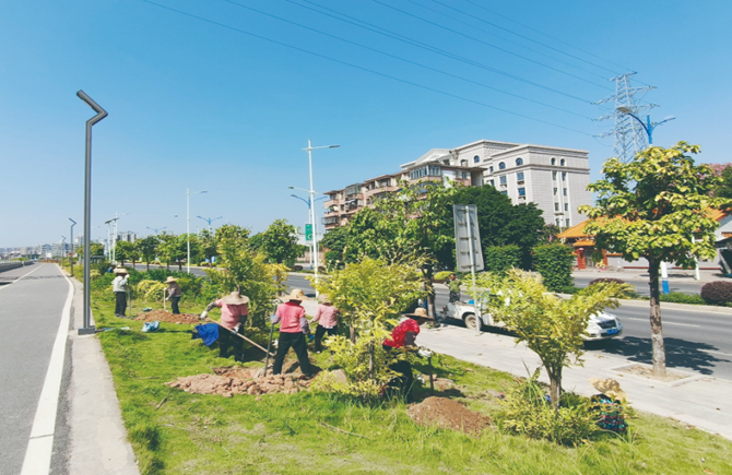 升級(jí)道路綠化景觀