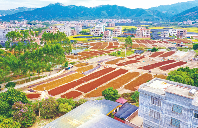 “黨建鏈”連起“產(chǎn)業(yè)鏈”