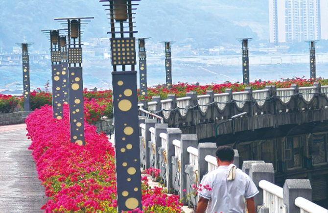 防洪堤上花開艷